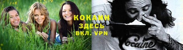 MESCALINE Новодвинск